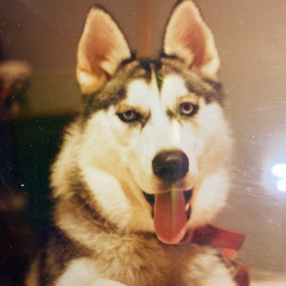 Meet your Posher, Christy - Picture 5 of 7